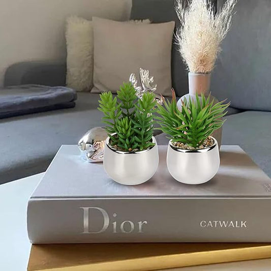 Artificial Silver Pot Plant - Qifaya