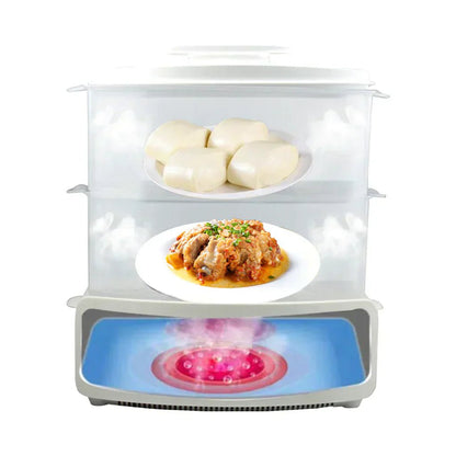 Electric Steamer and Defroster - Qifaya
