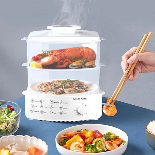 Electric Steamer and Defroster - Qifaya